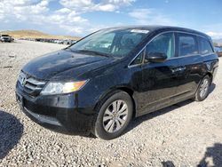 Salvage cars for sale at Magna, UT auction: 2014 Honda Odyssey EXL