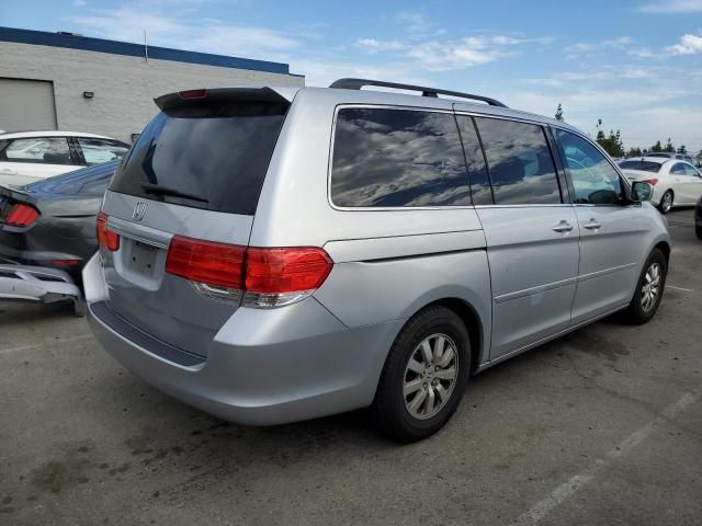 2010 Honda Odyssey EXL