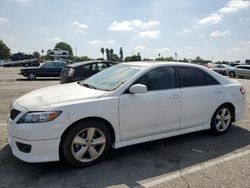 Toyota salvage cars for sale: 2010 Toyota Camry Base