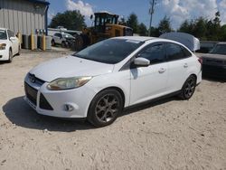 Salvage cars for sale from Copart Midway, FL: 2014 Ford Focus SE
