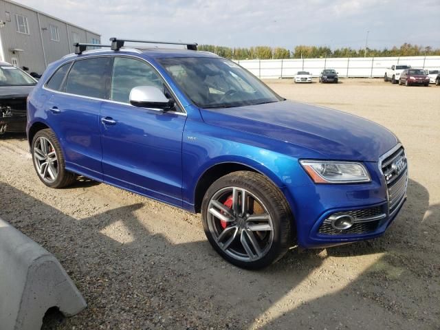 2016 Audi SQ5 Technik