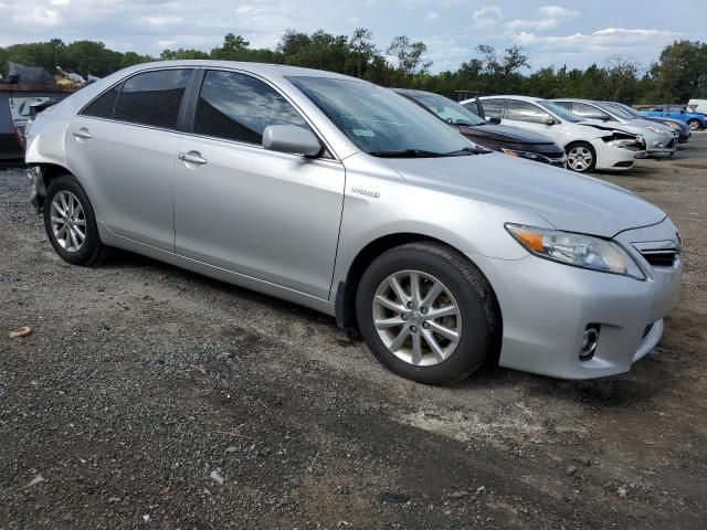 2010 Toyota Camry Hybrid