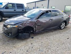 Salvage cars for sale at Arcadia, FL auction: 2014 Toyota Camry L