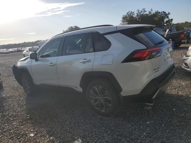 2024 Toyota Rav4 Limited