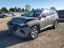 Salvage cars for sale at Elgin, IL auction: 2024 Hyundai Tucson SEL