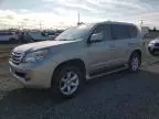 2010 Lexus GX 460 Premium