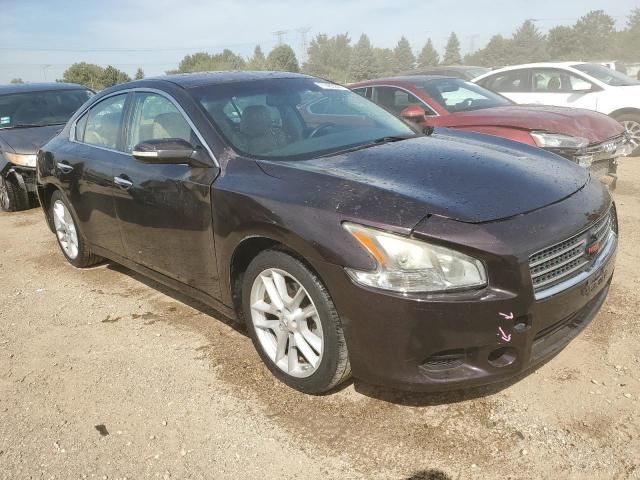 2010 Nissan Maxima S