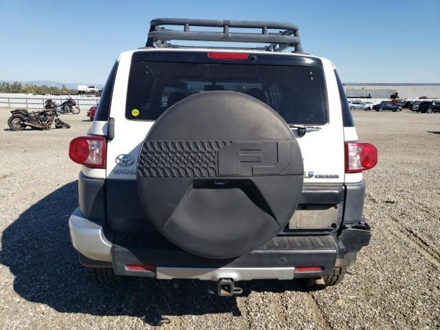 2010 Toyota FJ Cruiser