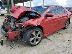 Toyota Camry salvage cars for sale: 2012 Toyota Camry Base