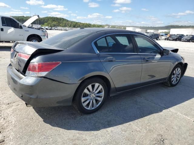 2011 Honda Accord EXL