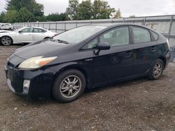 Toyota Vehiculos salvage en venta: 2010 Toyota Prius