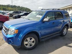 Salvage cars for sale at Louisville, KY auction: 2012 Ford Escape XLT