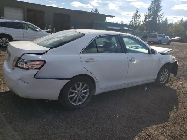 2010 Toyota Camry Hybrid