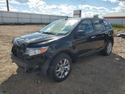 Salvage cars for sale at Rapid City, SD auction: 2011 Ford Edge SEL