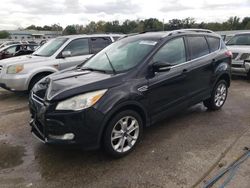 Carros salvage para piezas a la venta en subasta: 2015 Ford Escape Titanium