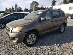 Salvage cars for sale at Graham, WA auction: 2010 Toyota Rav4