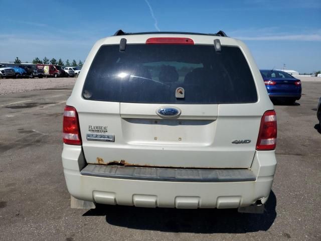 2008 Ford Escape XLT