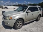 2008 Ford Escape Limited