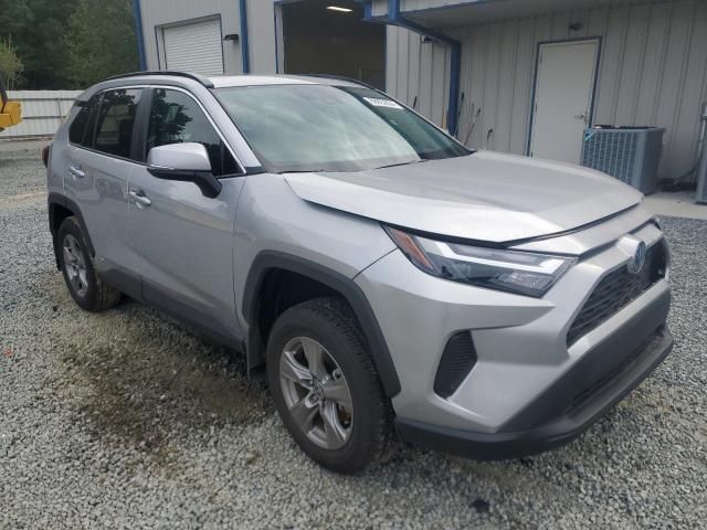 2024 Toyota Rav4 XLE