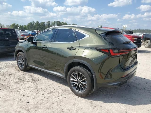 2023 Lexus NX 350