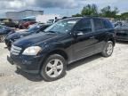 2006 Mercedes-Benz ML 500