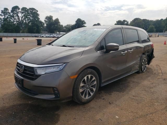 2021 Honda Odyssey EXL