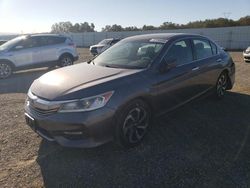 Honda salvage cars for sale: 2017 Honda Accord EXL