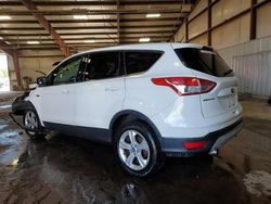 Salvage cars for sale at Lansing, MI auction: 2013 Ford Escape SE