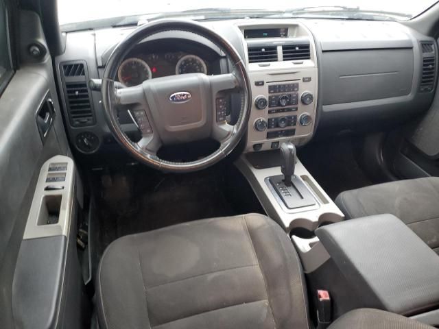 2009 Ford Escape XLT