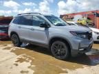 2024 Honda Passport Black Edition