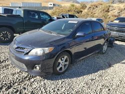 Salvage cars for sale at Reno, NV auction: 2013 Toyota Corolla Base