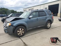 Salvage cars for sale at Gaston, SC auction: 2011 Ford Escape Limited