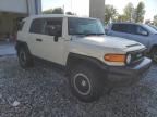 2010 Toyota FJ Cruiser