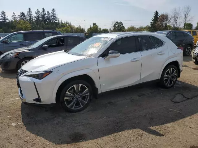 2024 Lexus UX 250H Premium