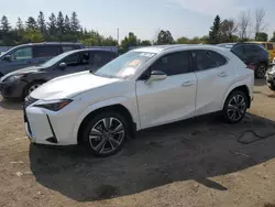 2024 Lexus UX 250H Premium en venta en Bowmanville, ON