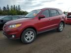 2010 Hyundai Santa FE SE