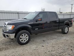 Salvage trucks for sale at Appleton, WI auction: 2013 Ford F150 Supercrew