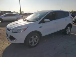 Salvage cars for sale at Indianapolis, IN auction: 2015 Ford Escape SE