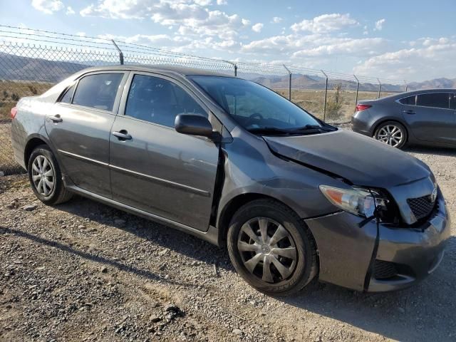 2010 Toyota Corolla Base