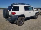 2010 Toyota FJ Cruiser