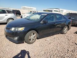 Toyota Camry Sola Vehiculos salvage en venta: 2013 Toyota Camry L