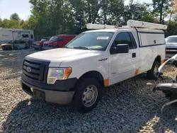 Ford Vehiculos salvage en venta: 2012 Ford F150