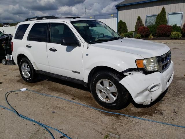 2008 Ford Escape XLT