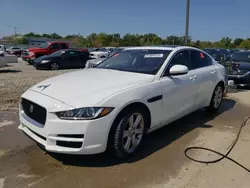 Salvage cars for sale at Louisville, KY auction: 2018 Jaguar XE Prestige