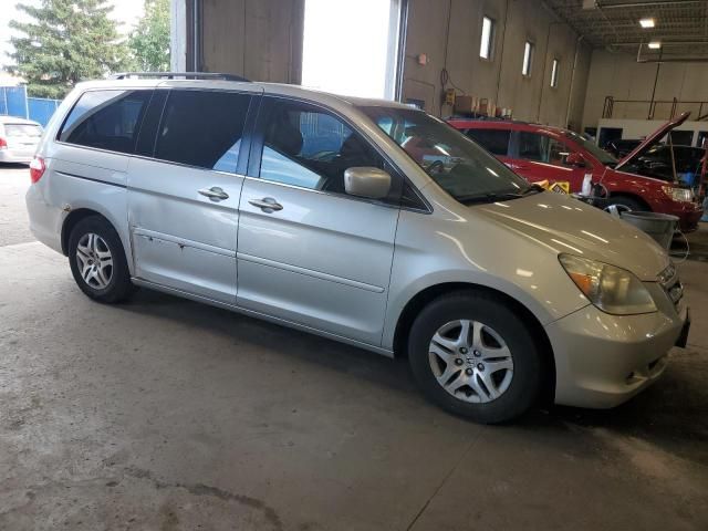 2005 Honda Odyssey EXL