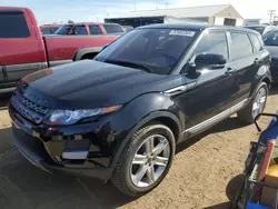 Land Rover Vehiculos salvage en venta: 2013 Land Rover Range Rover Evoque Pure