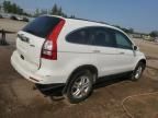 2010 Honda CR-V EXL