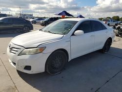 Salvage cars for sale at Grand Prairie, TX auction: 2010 Toyota Camry Base