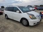 2008 Honda Odyssey EXL