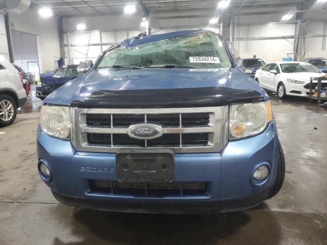 2009 Ford Escape XLT